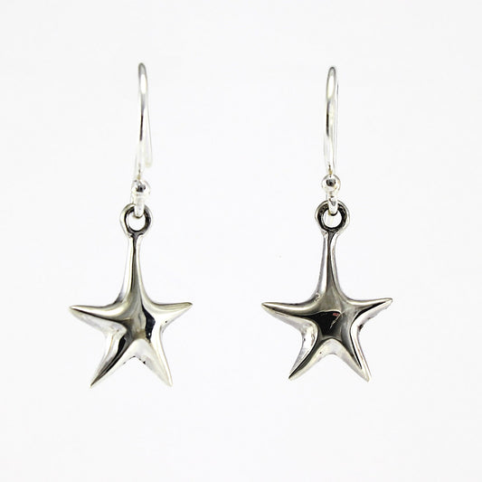 SWE131 Sterling Silver Earrings