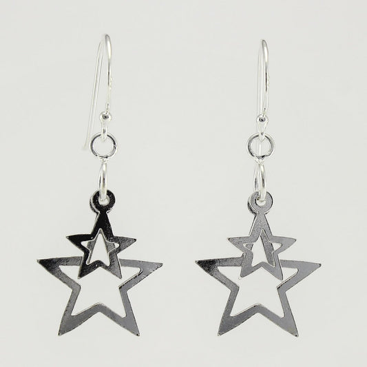 WSWE117 Sterling Silver Earrings