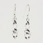 SWE126 Sterling Silver Earrings