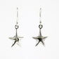 SWE131 Sterling Silver Earrings